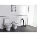 Inodoro-Largo-Veneto-Blanco-25x74-Cm